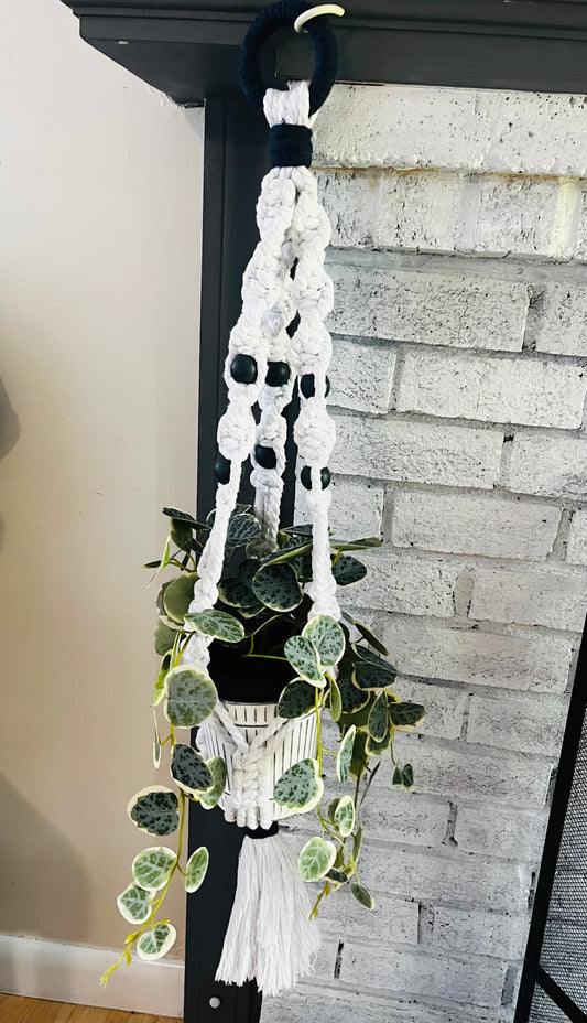 Macrame plant hanger-plant & pot included.