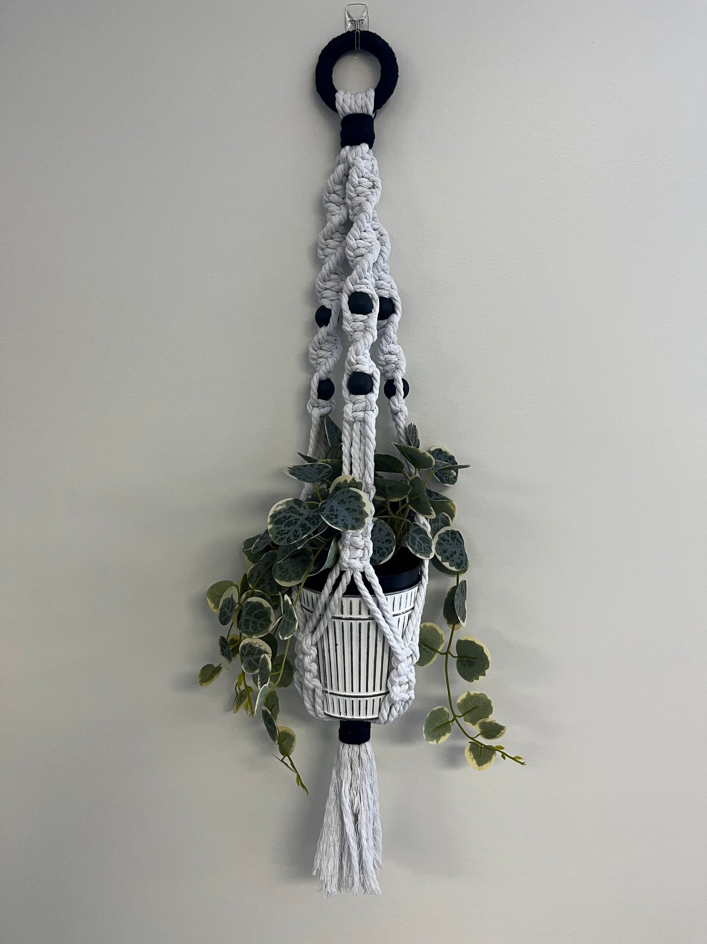 Macrame plant hanger-plant & pot included.