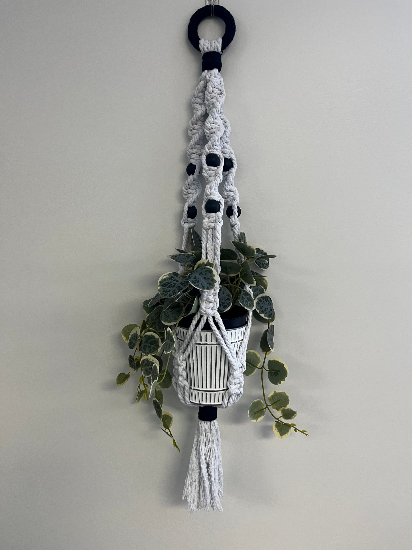 Macrame plant hanger-plant & pot included.